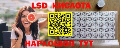 прущие грибы Будённовск