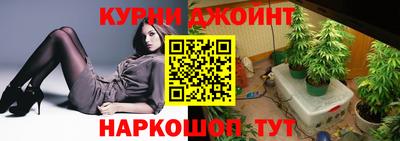 прущие грибы Будённовск