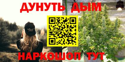 прущие грибы Будённовск