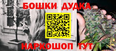 прущие грибы Будённовск