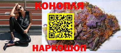 прущие грибы Будённовск