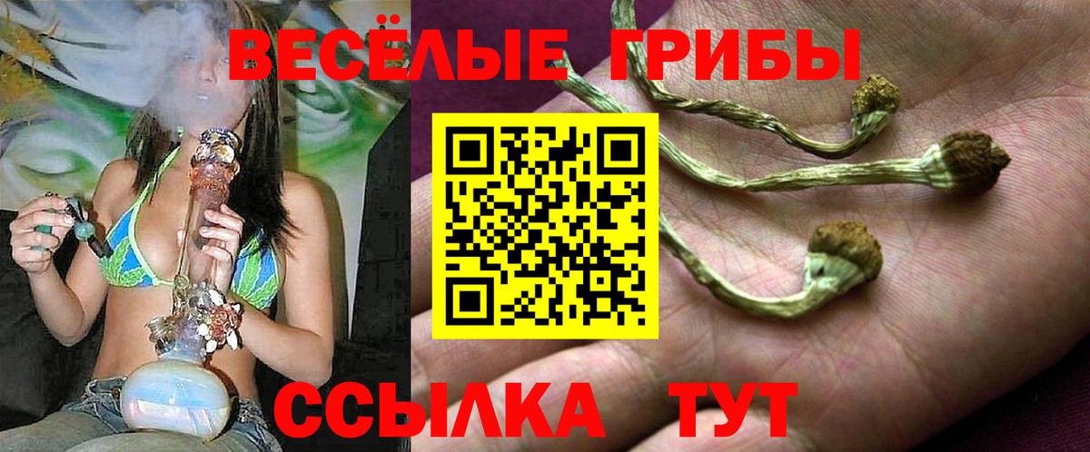 Псилоцибиновые грибы мухоморы Магнитогорск